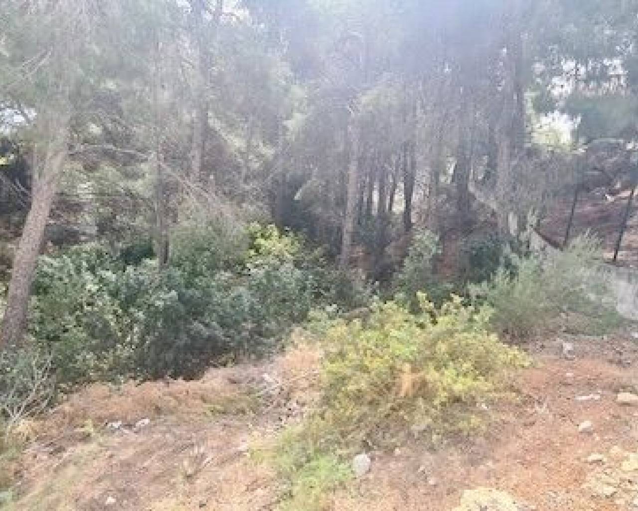 Продажа - Участок - Альтеа - Rio de Algar