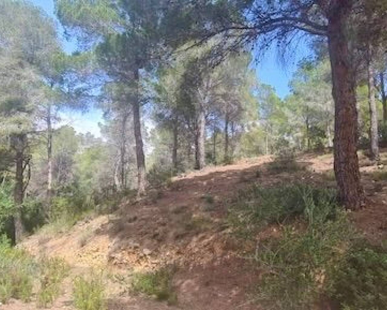 Продажа - Участок - Альтеа - Rio de Algar