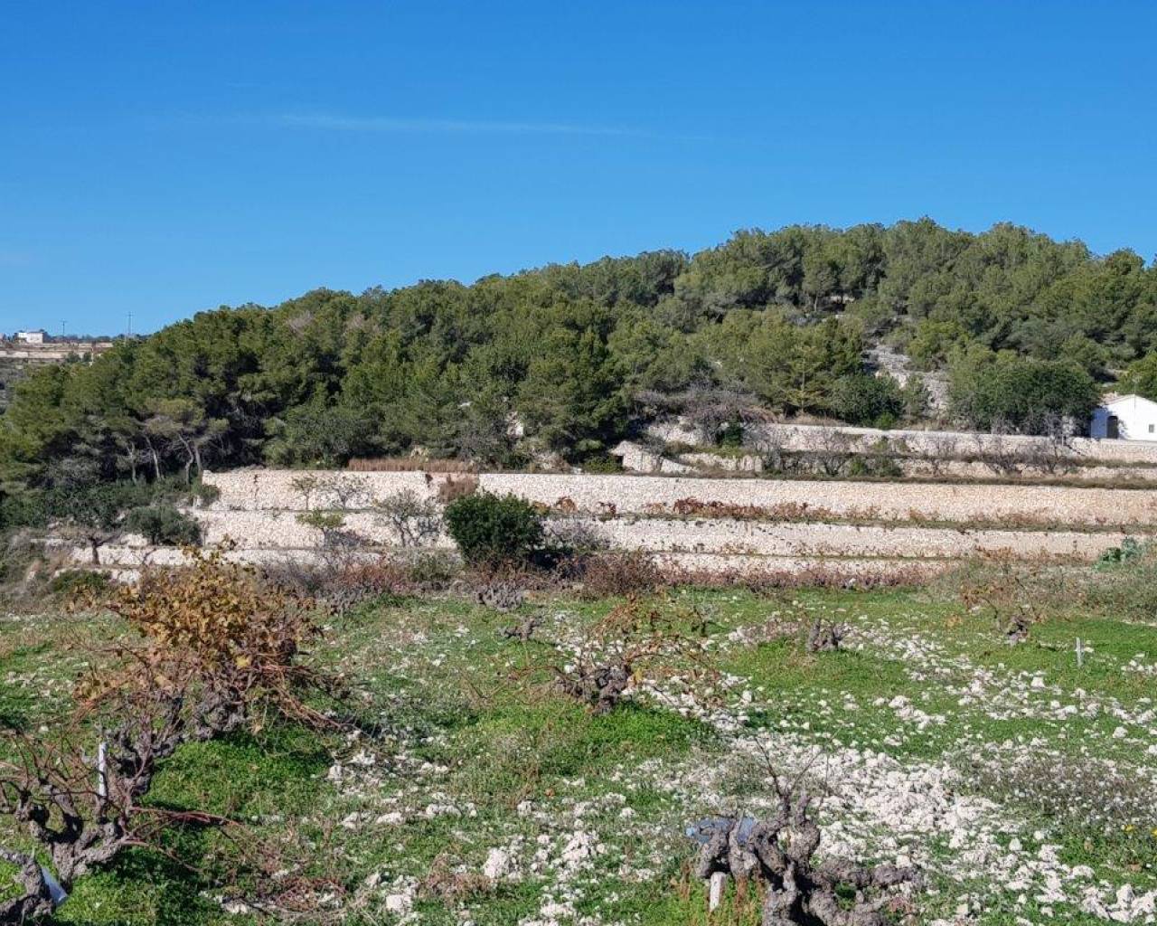 Продажа - Участок - Теулада - Teulada