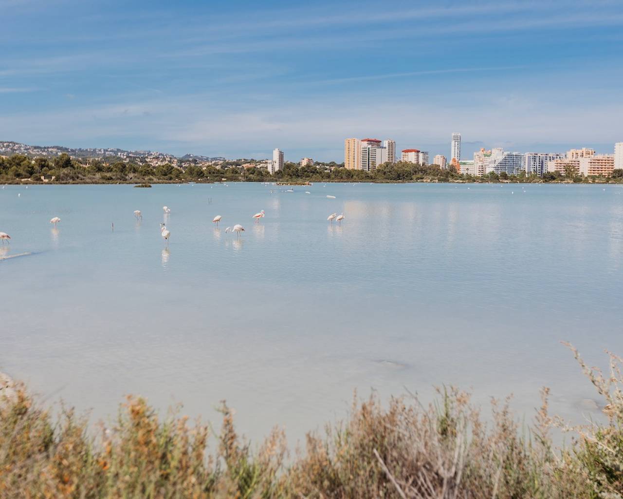 Продажа - Апартамент - Кальпе - Calpe Town Centre