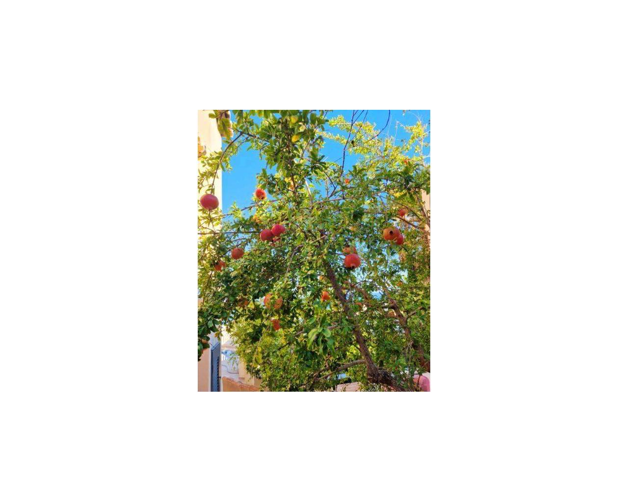 Продажа - Вилла - Бенитачель - Cumbre del Sol