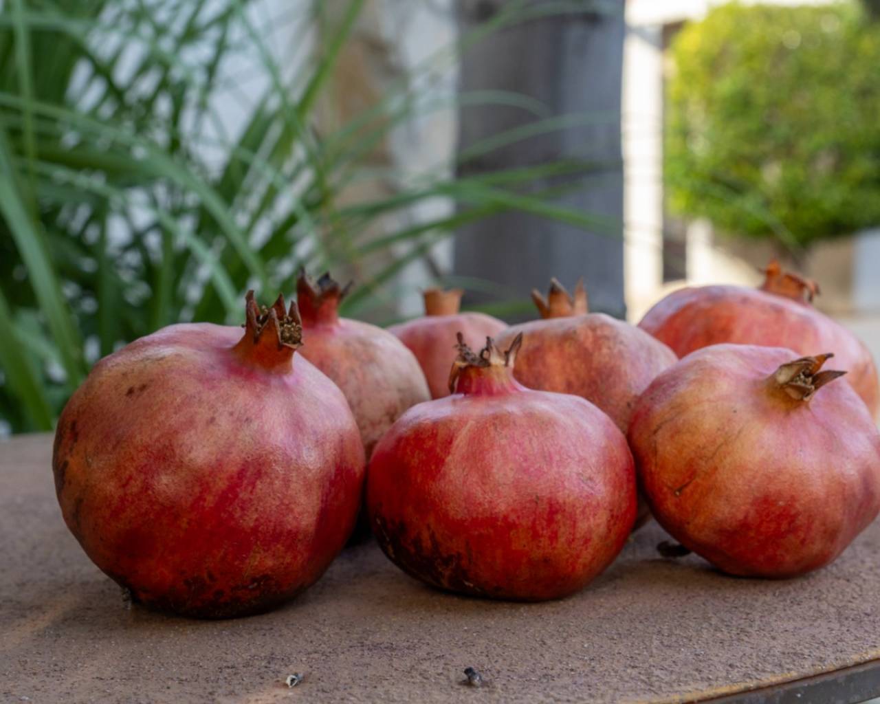 Продажа - Вилла - Хавеа - Partida Comunes-Adsubia