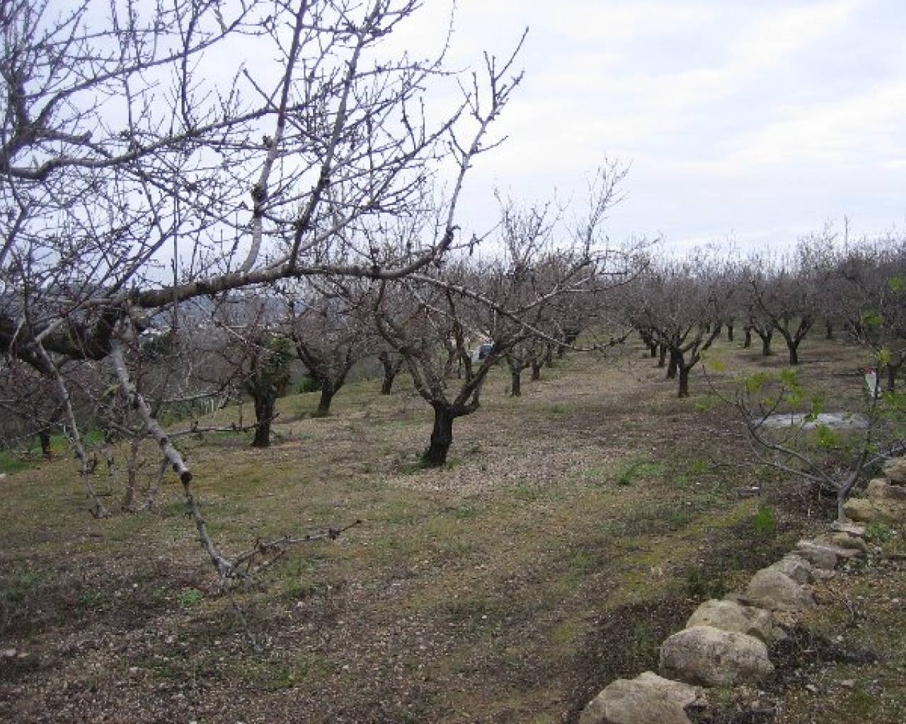 Продажа - Дом в рустикальном стиле - Бенисса - Benissa