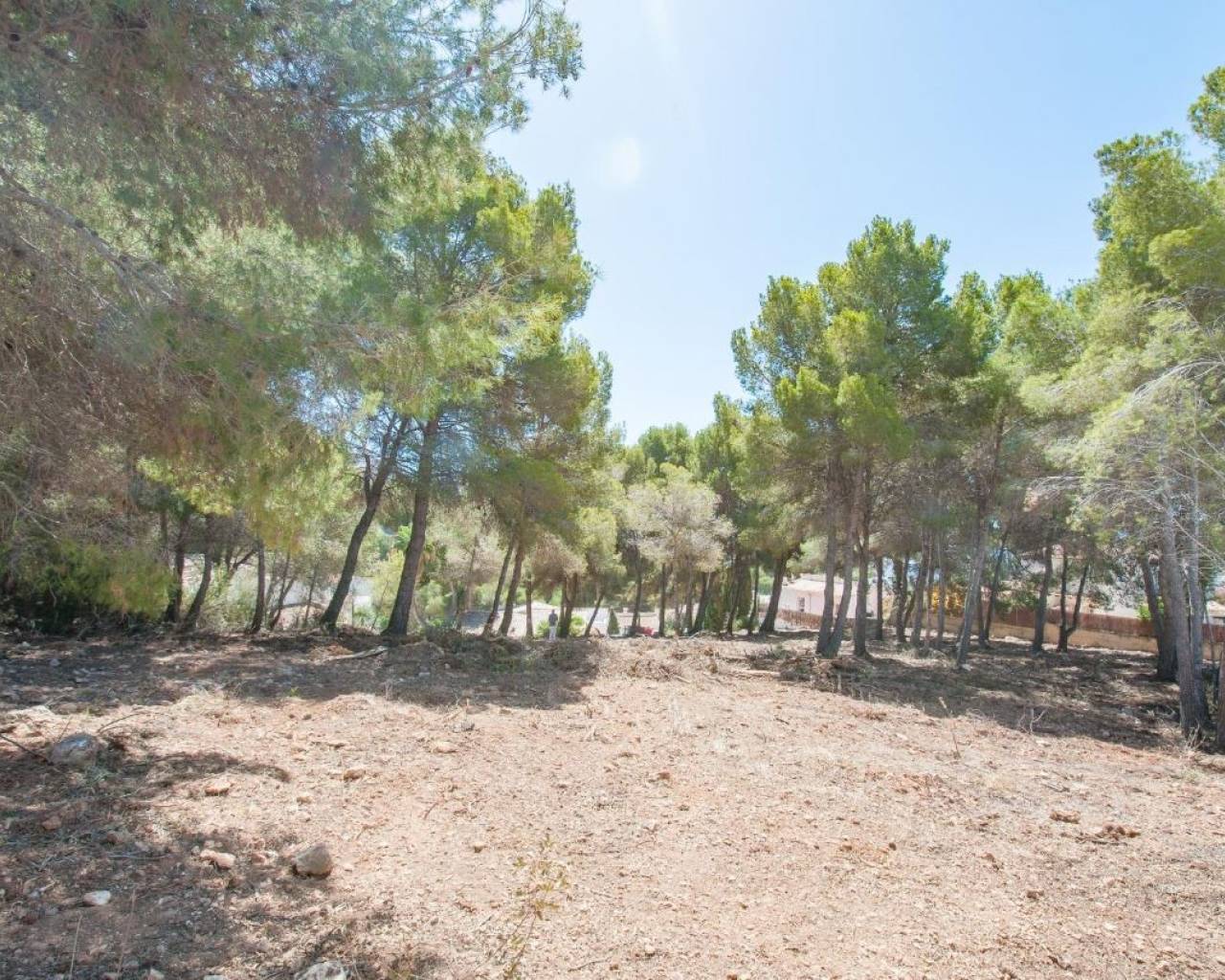 Продажа - Участок - Морайра - El Portet