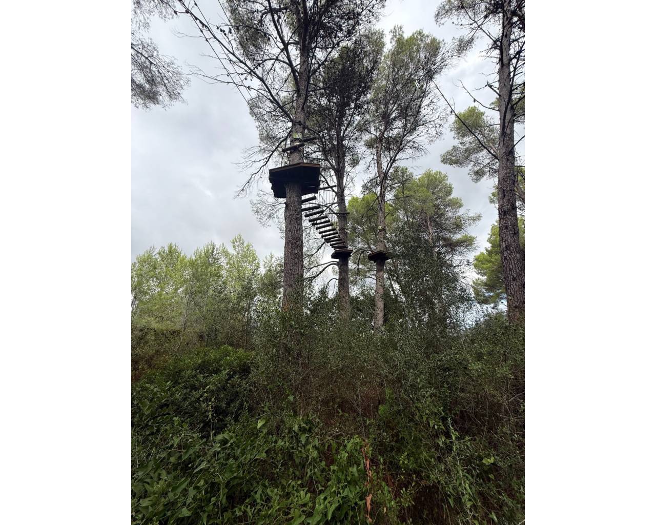 Продажа - Вилла - Долина Халона - Parcent