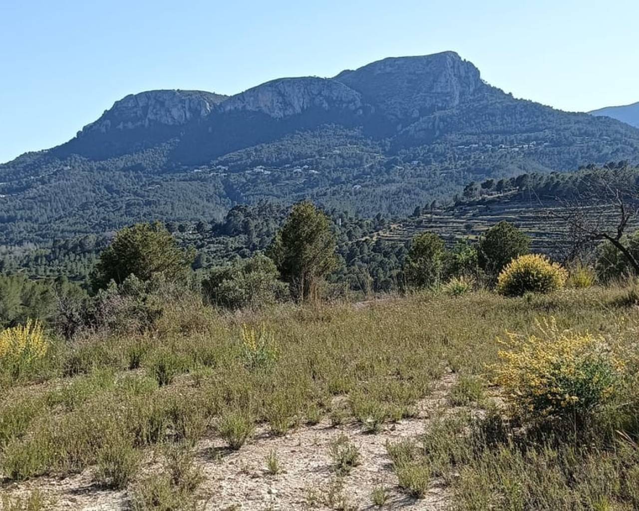 Venta - Parcela - Benissa