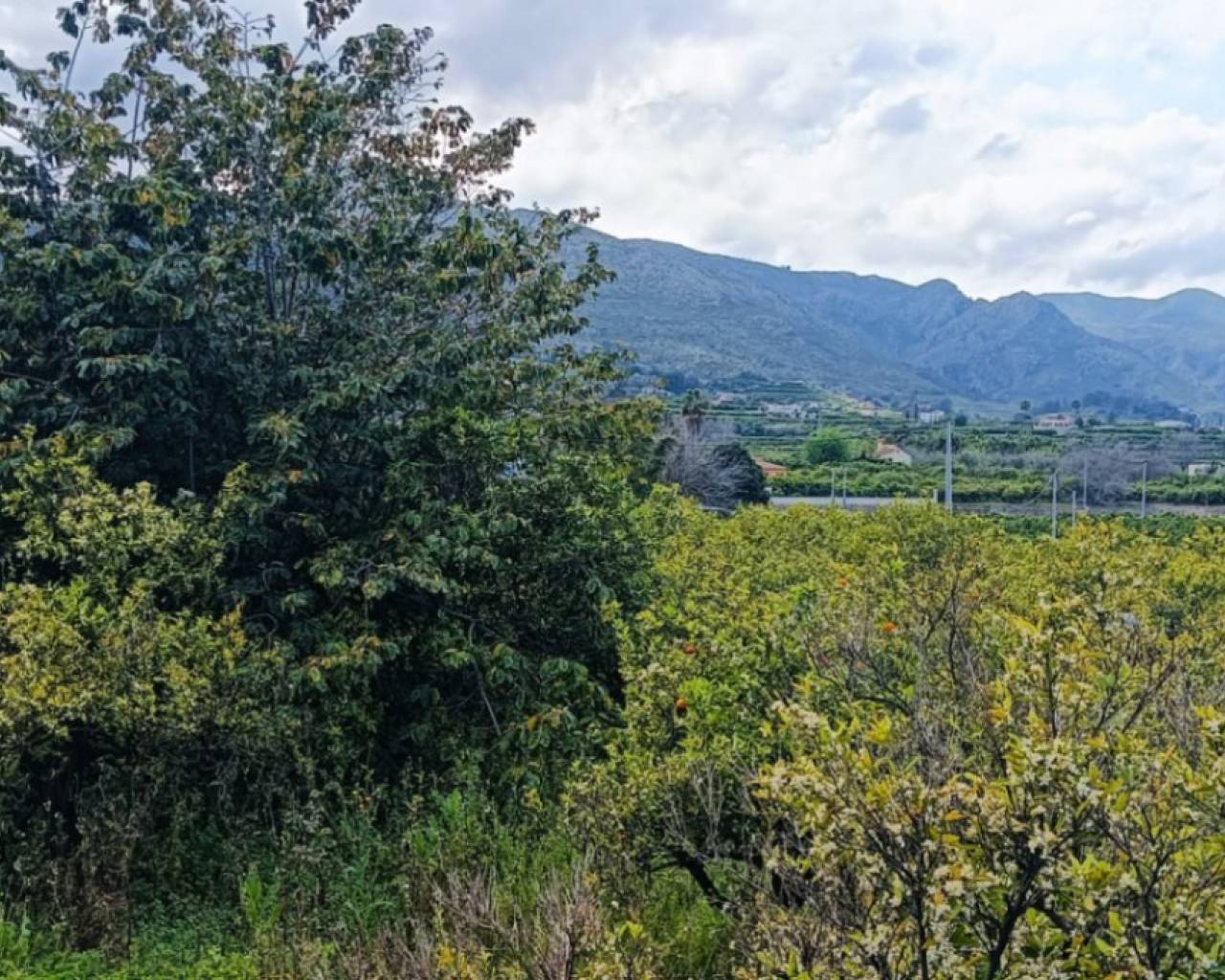 Venta - Parcela - Pego