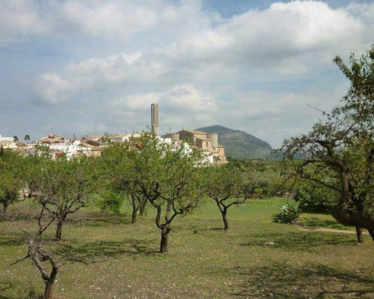 Venta - Parcela - Jalon Valley - Murla