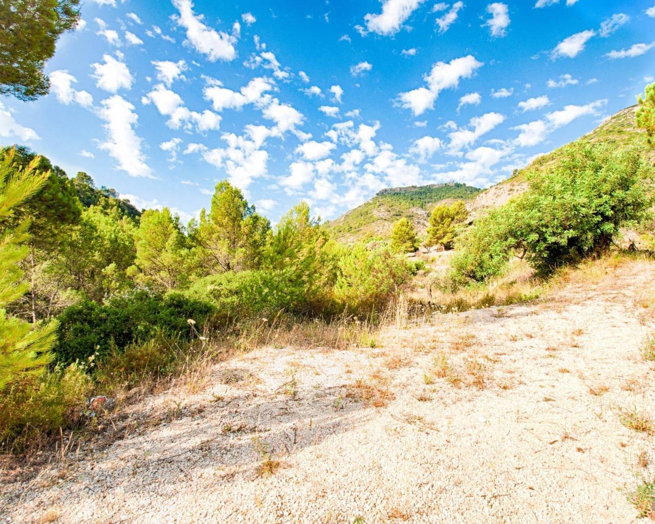 Venta - Parcela - Jalon Valley - Bernia