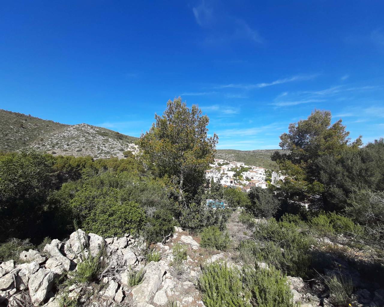 Venta - Parcela - Jalon Valley - Benarrosa Garden