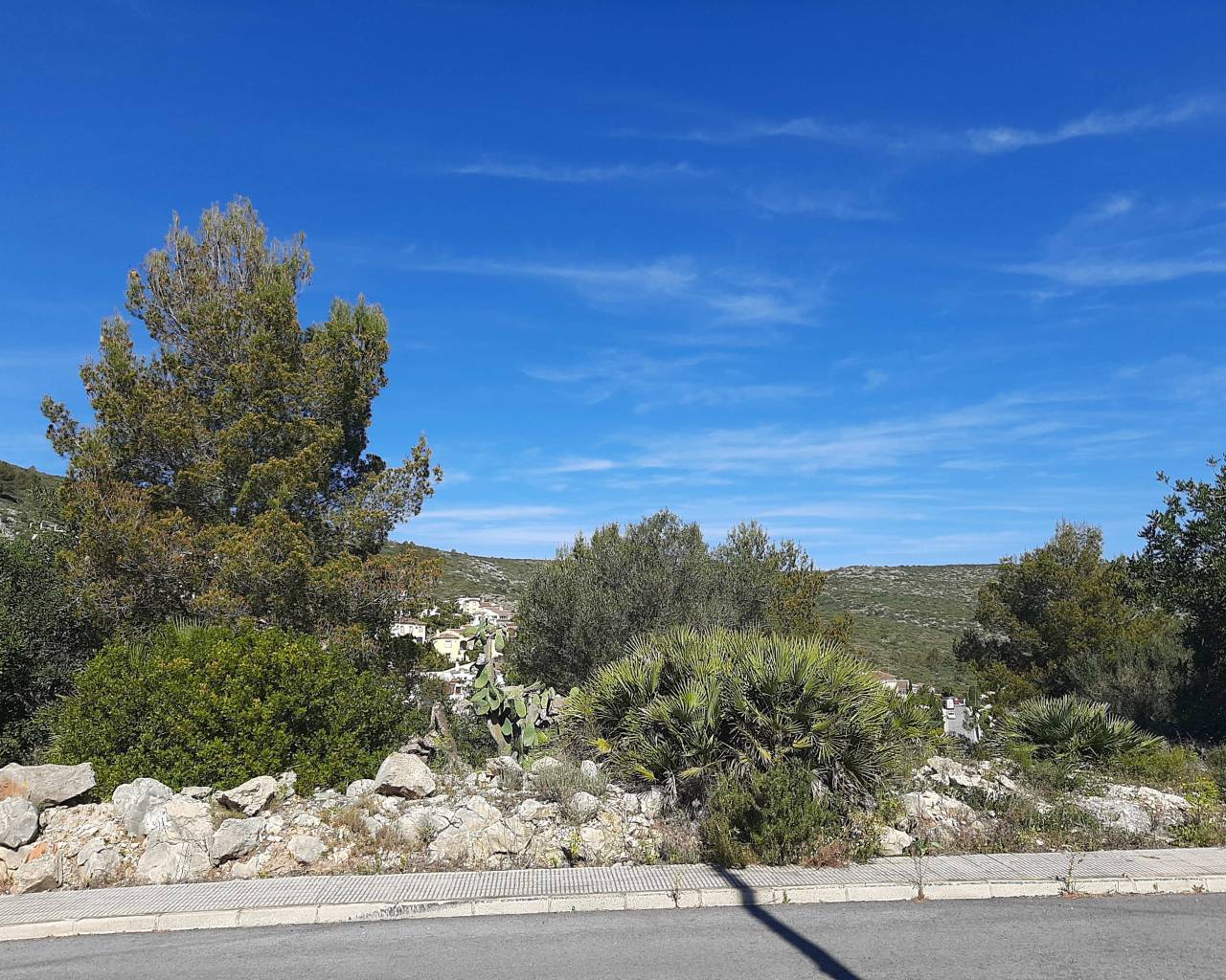 Venta - Parcela - Jalon Valley - Benarrosa Garden