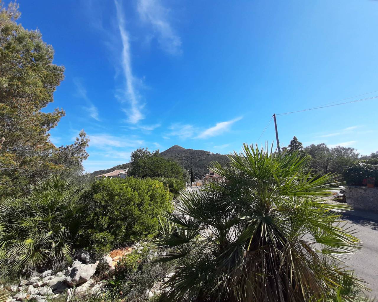 Venta - Parcela - Jalon Valley - Benarrosa Garden