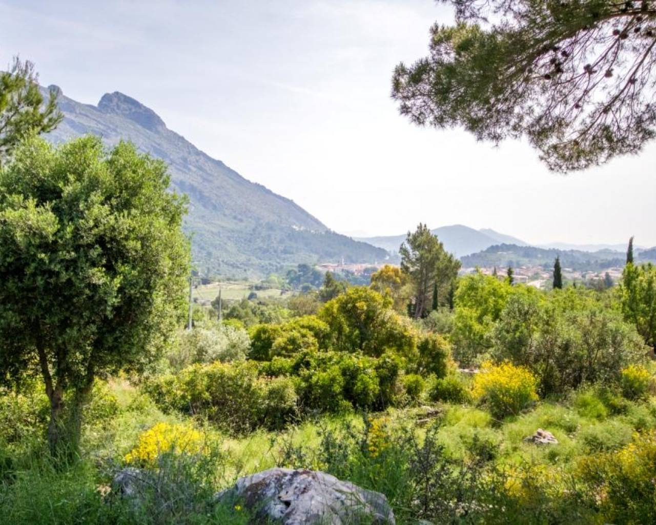 Venta - Parcela - Jalon Valley - Benigembla