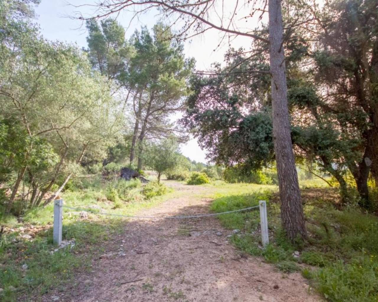 Venta - Parcela - Jalon Valley - Murla