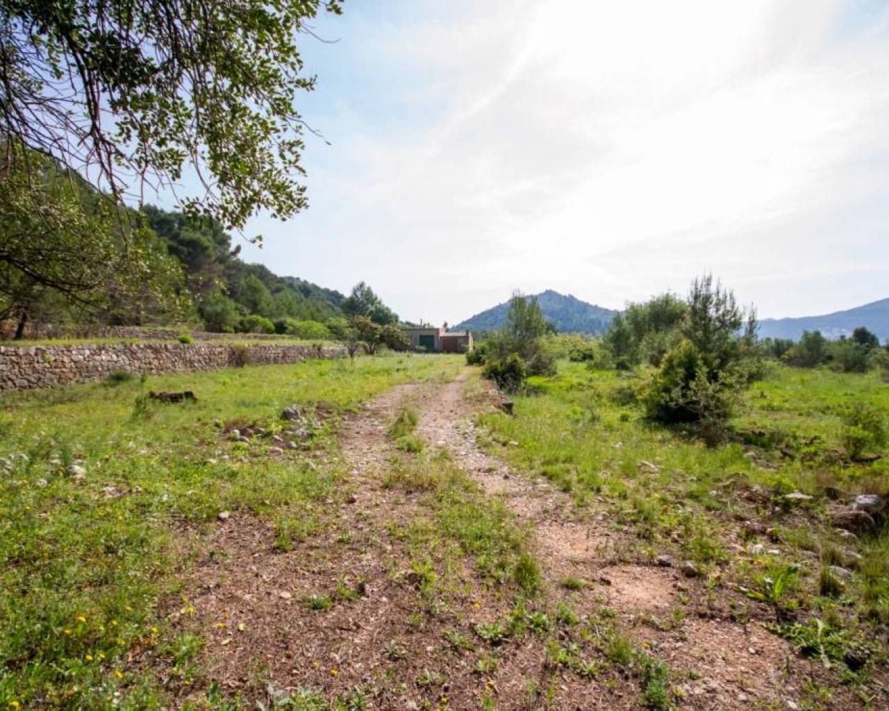 Venta - Parcela - Jalon Valley - Murla