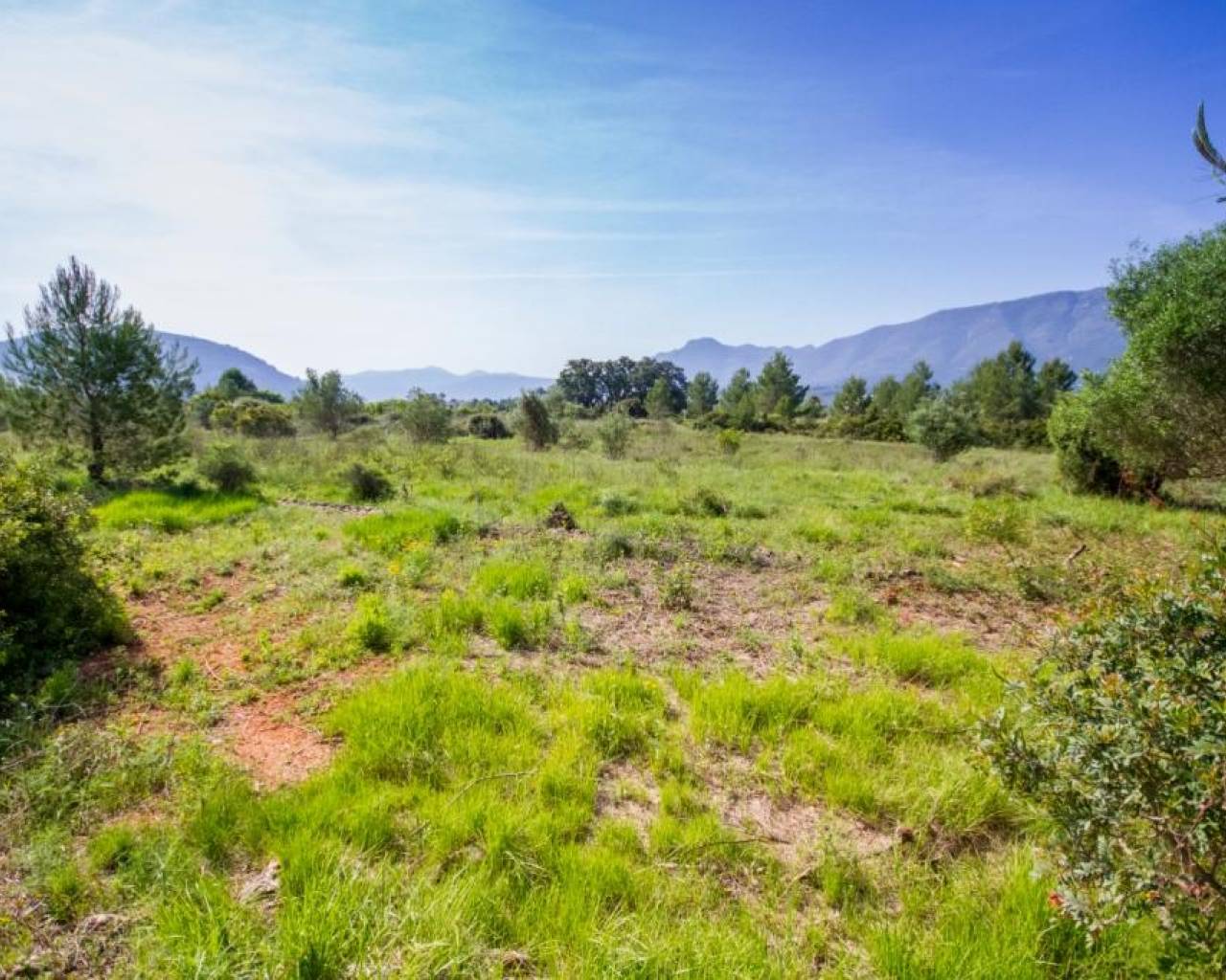 Venta - Parcela - Jalon Valley - Murla