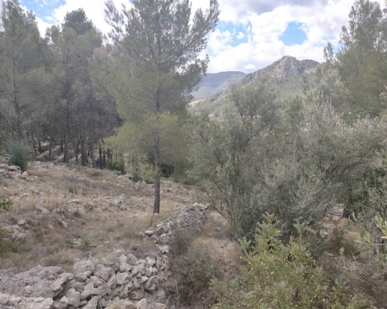 Venta - Parcela - Orba Valley - El Aspre