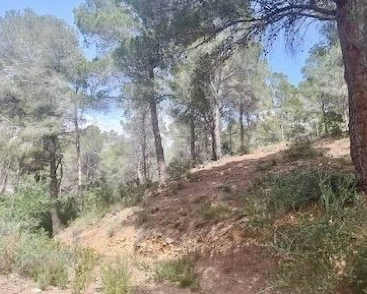 Venta - Parcela - Altea - Rio de Algar