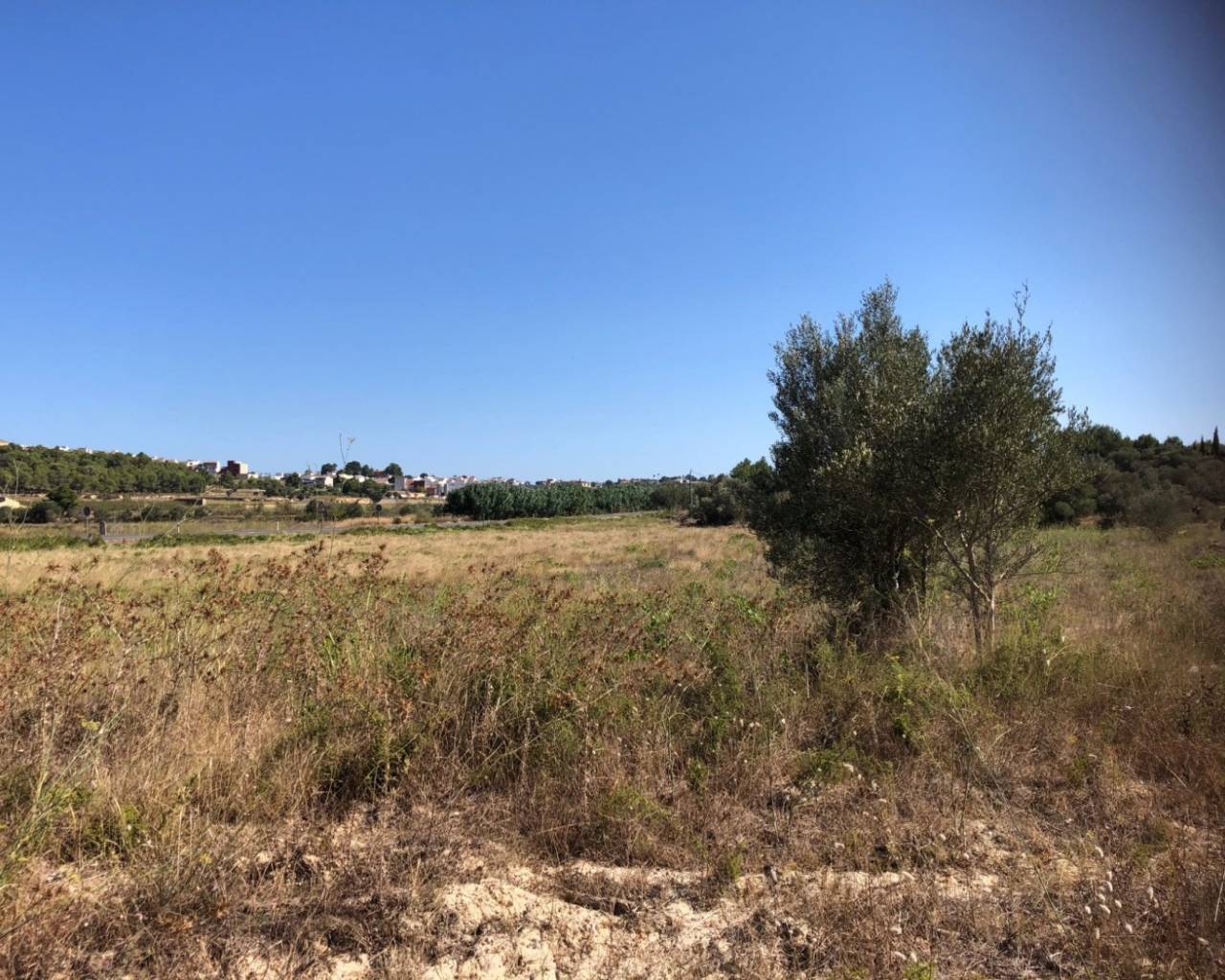 Venta - Parcela - Teulada - 03725