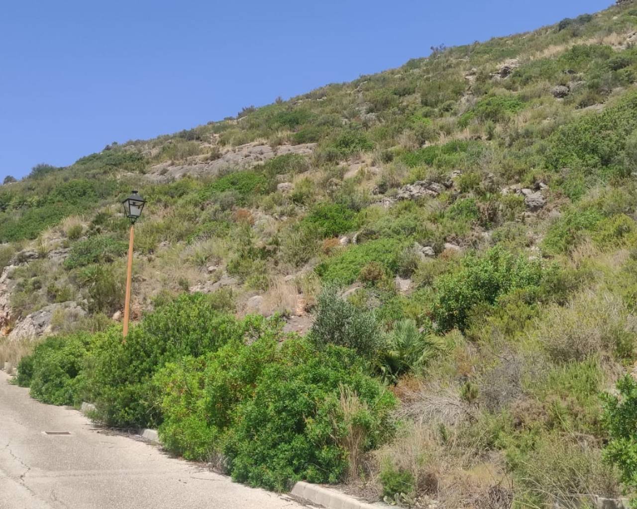 Venta - Parcela - Jalon Valley - Jalon