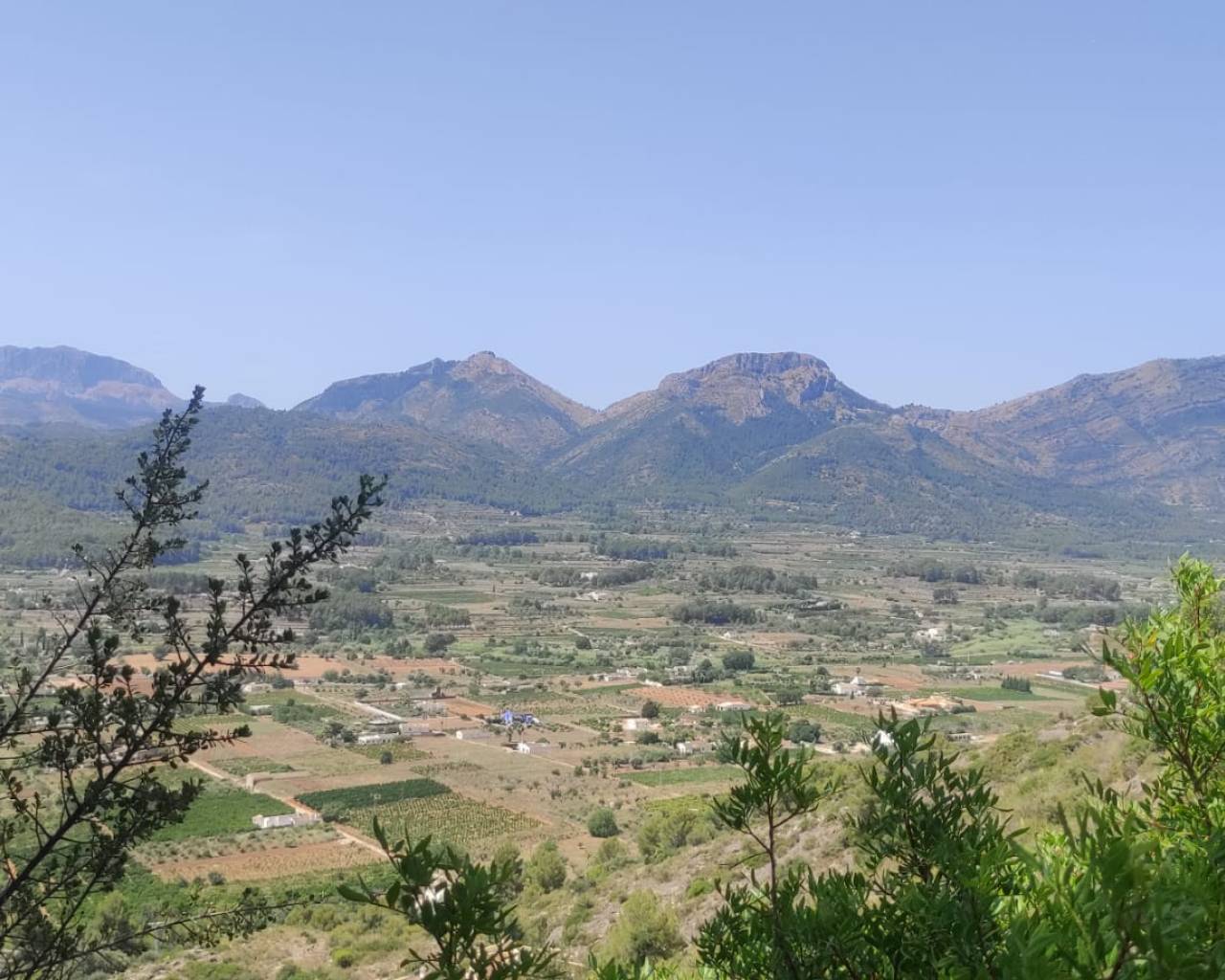 Venta - Parcela - Jalon Valley - Jalon