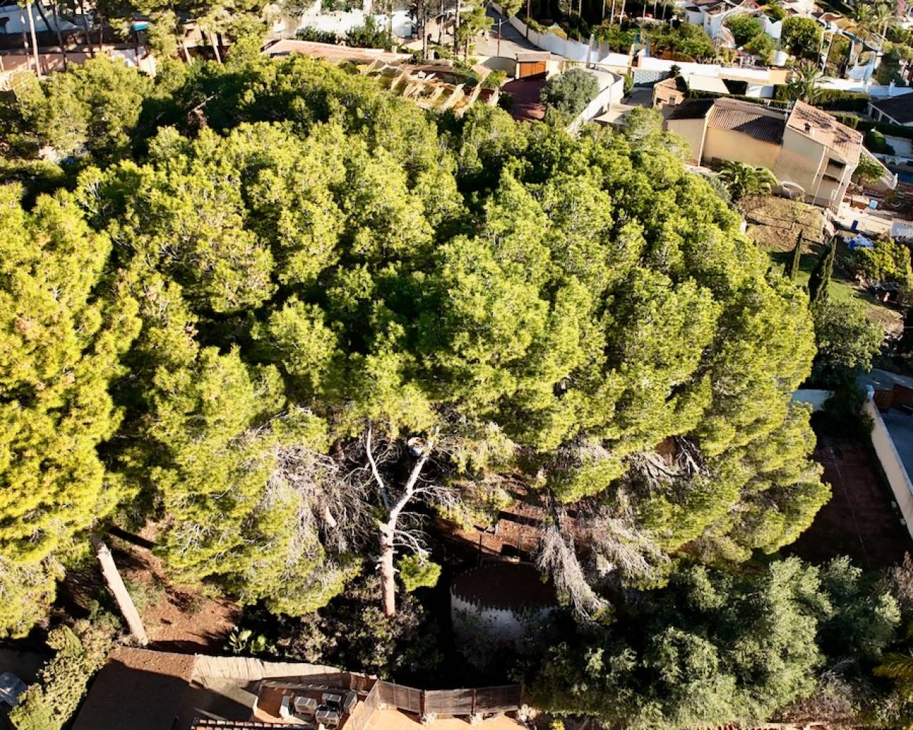 Venta - Parcela - Moraira - La Cometa