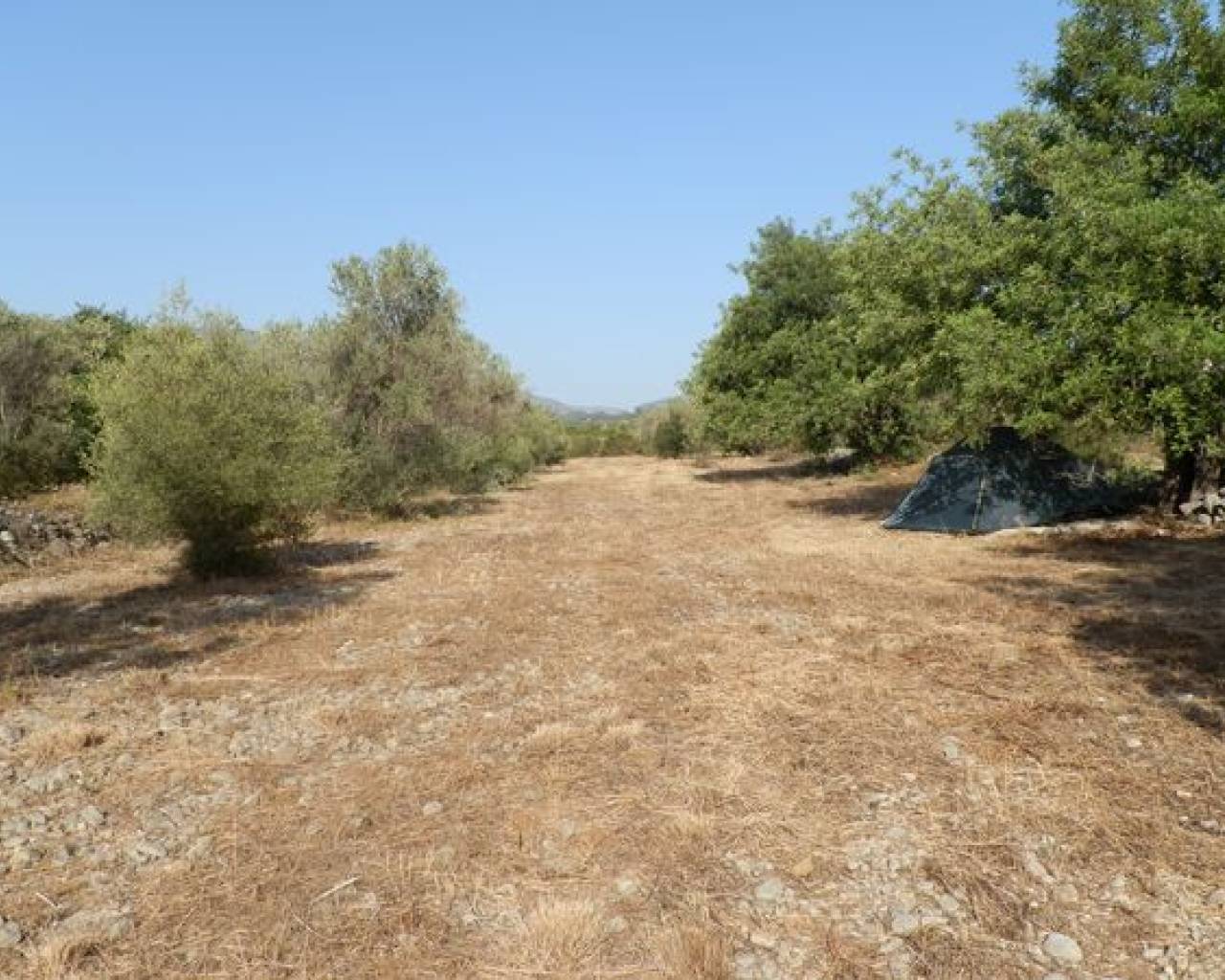 Venta - Parcela - Jalon Valley - Jalon