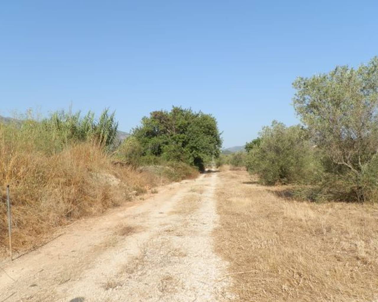 Venta - Parcela - Jalon Valley - Jalon