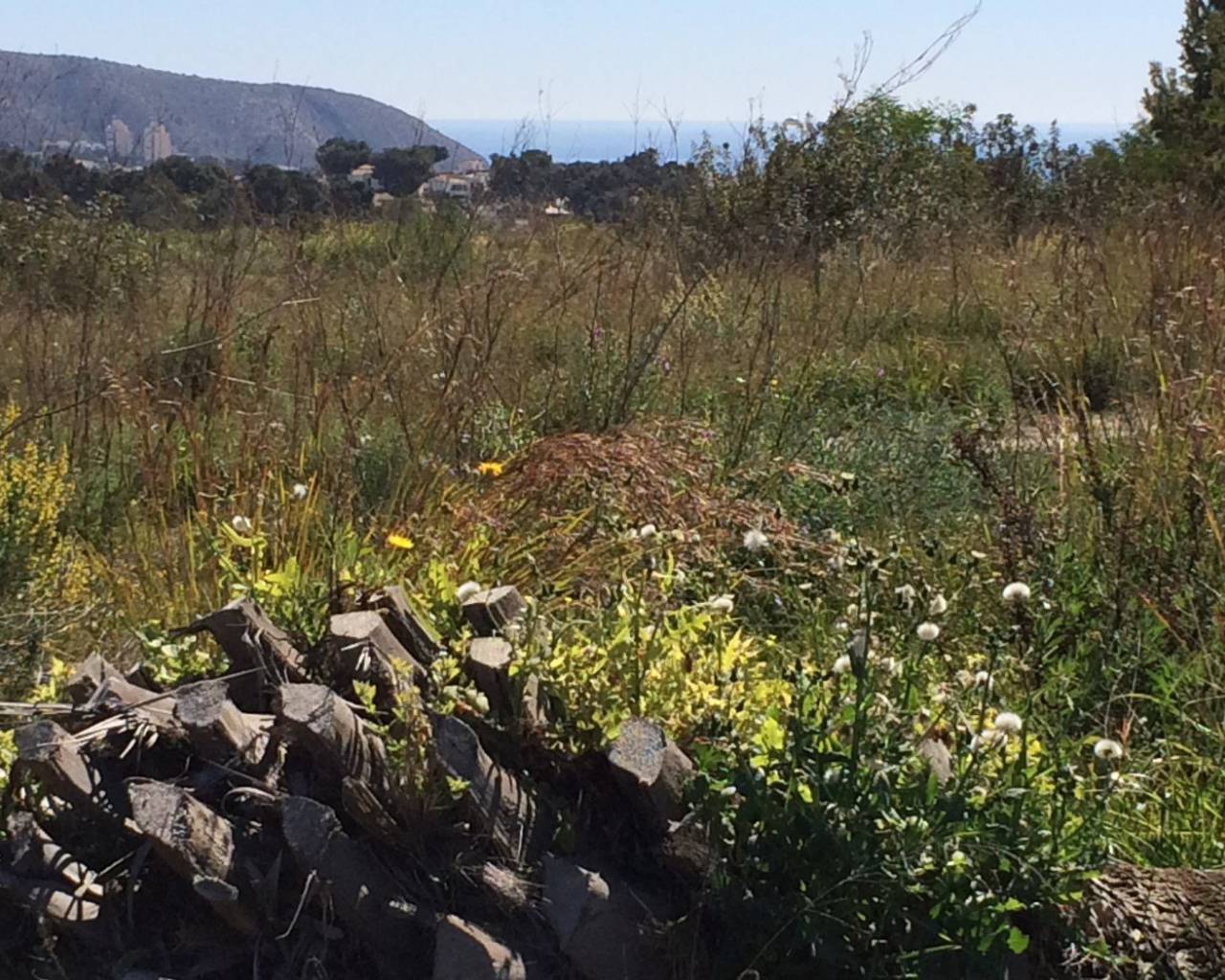 Sales - Plot - Moraira - Camarrocha