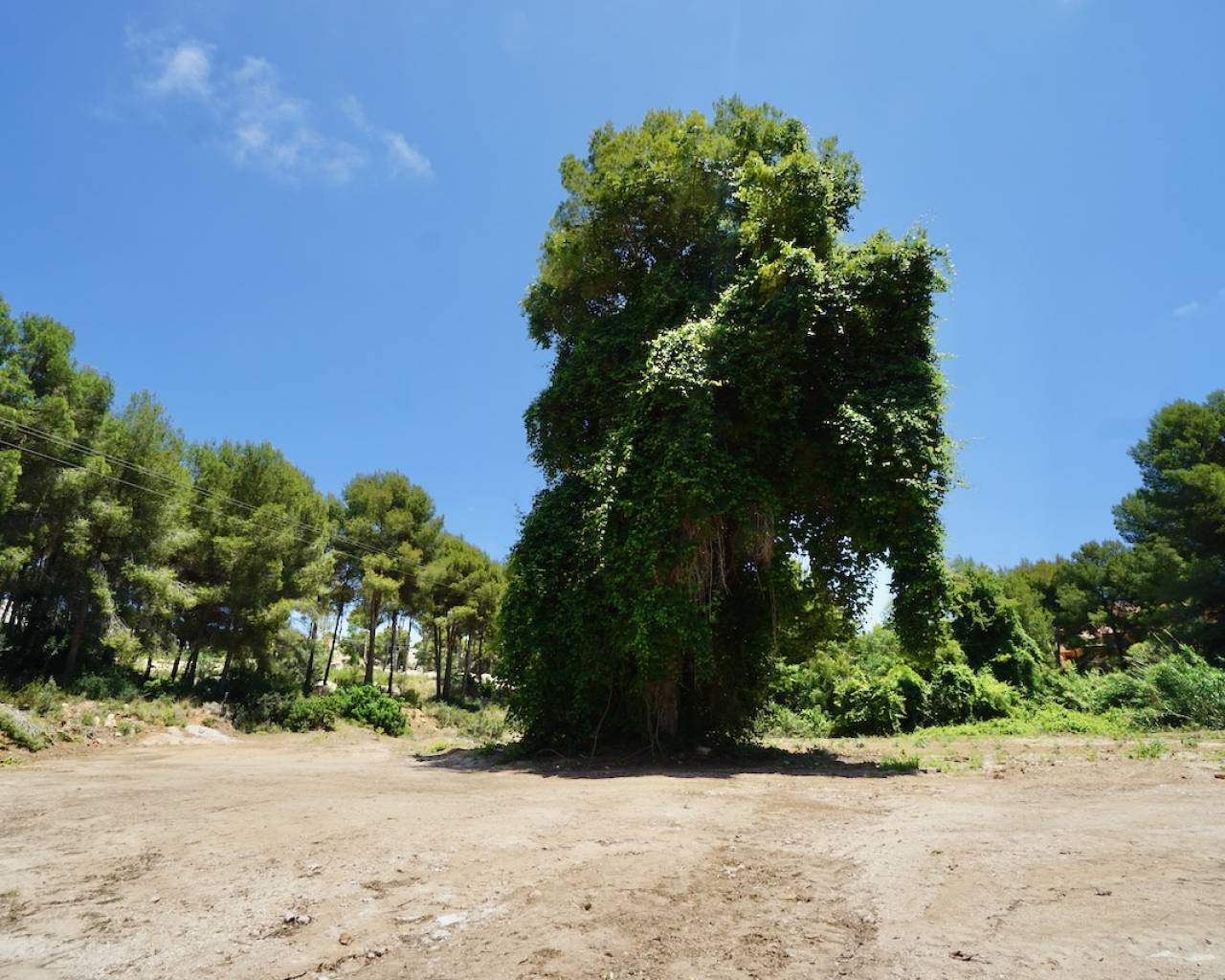 Sales - Plot - Moraira - La Cometa