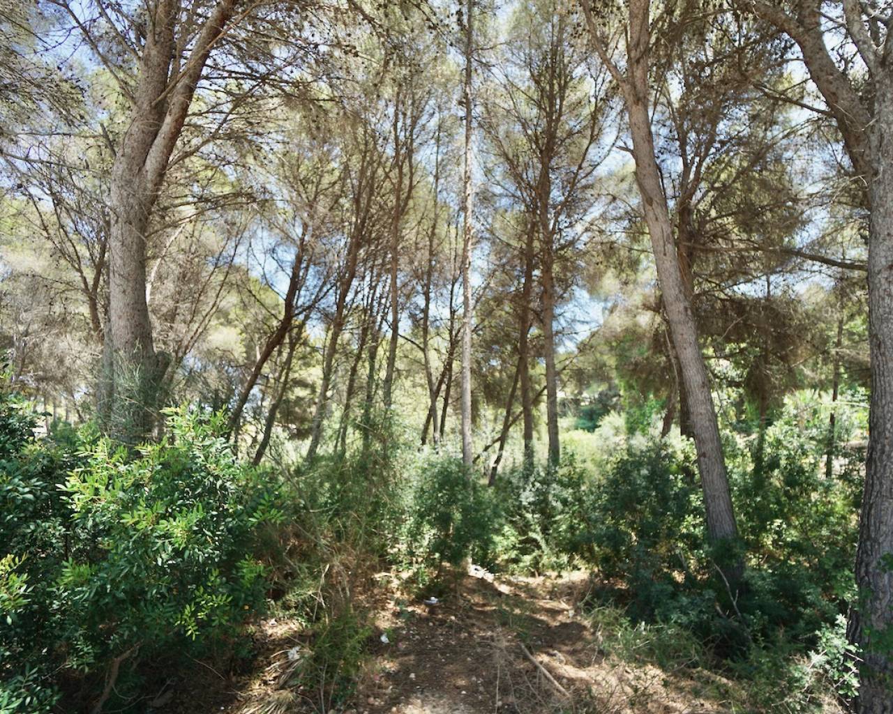 Sales - Plot - Moraira - La Cometa