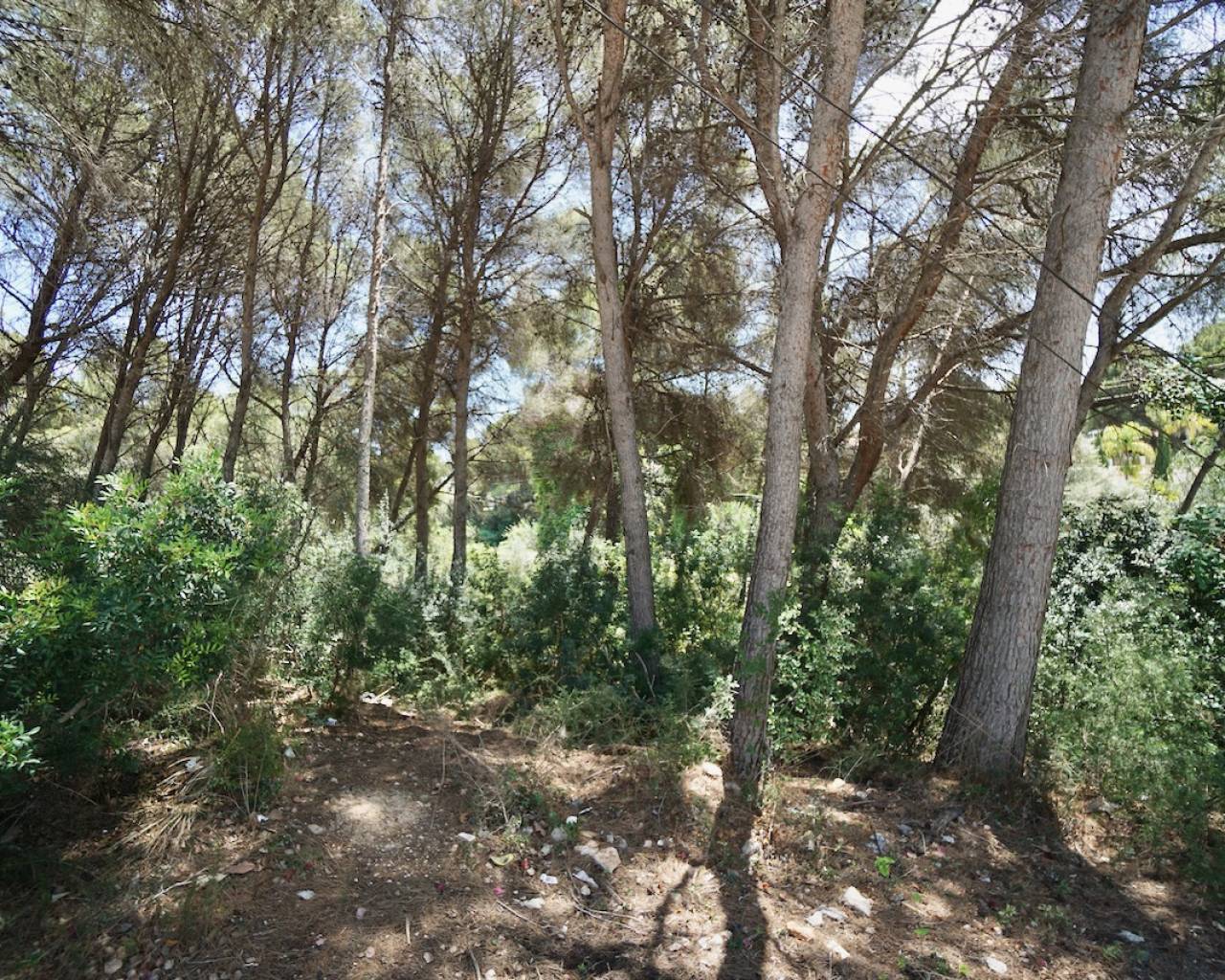 Sales - Plot - Moraira - La Cometa