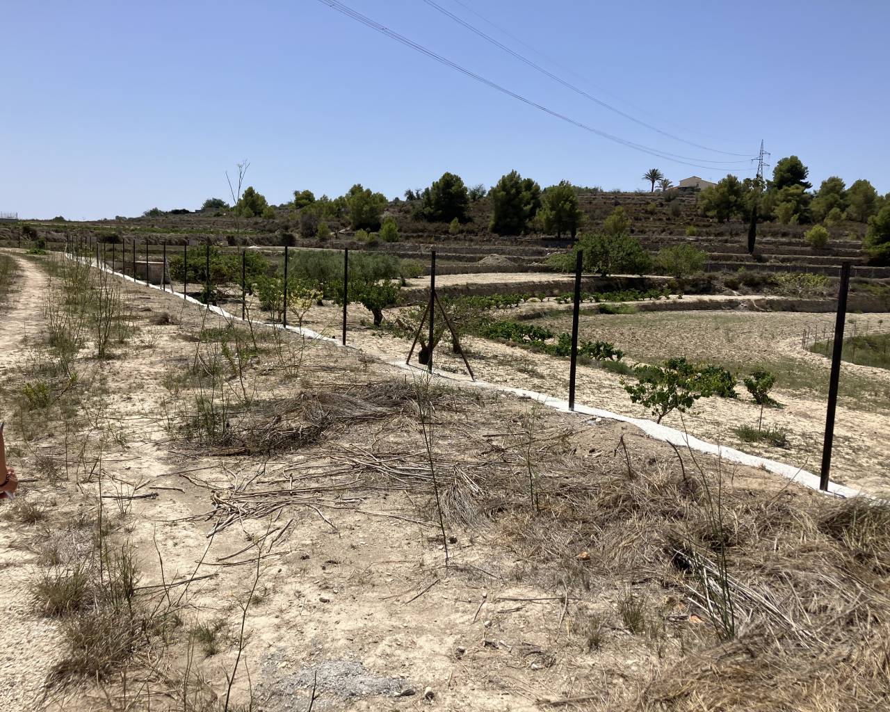 Sales - Plot - Benissa - Partida Berdica