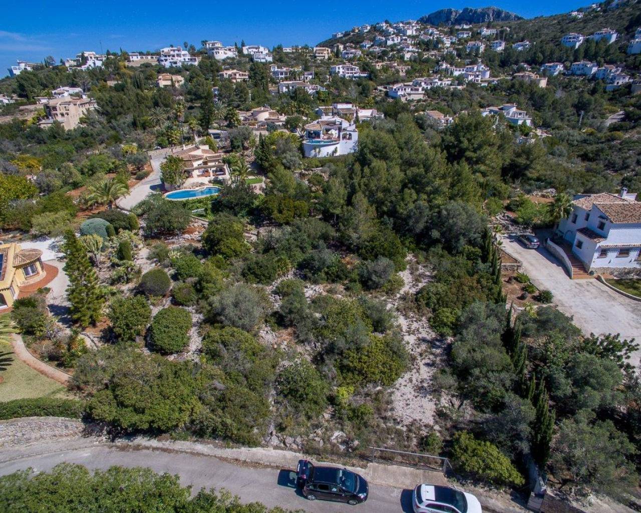 Sales - Plot - Calpe