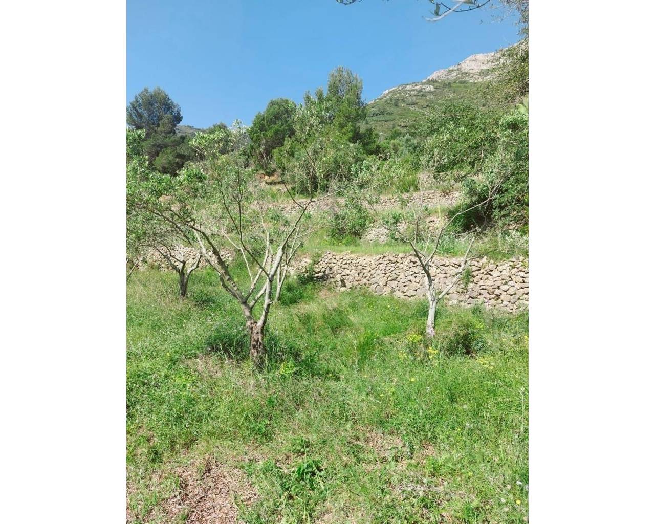 Sales - Plot - Jalon Valley - Bernia