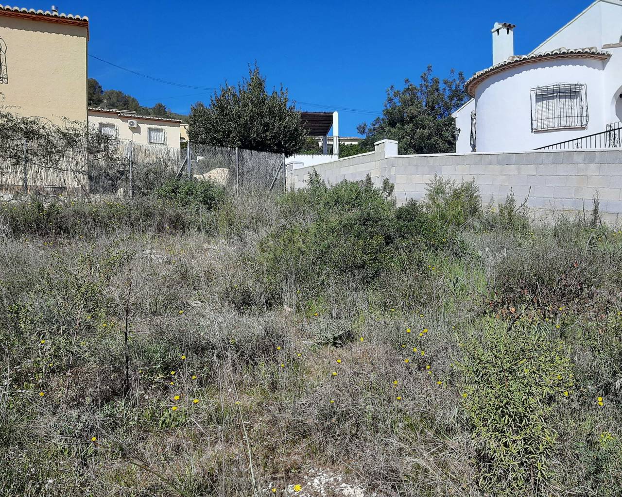 Sales - Plot - Jalon Valley - Alcalali