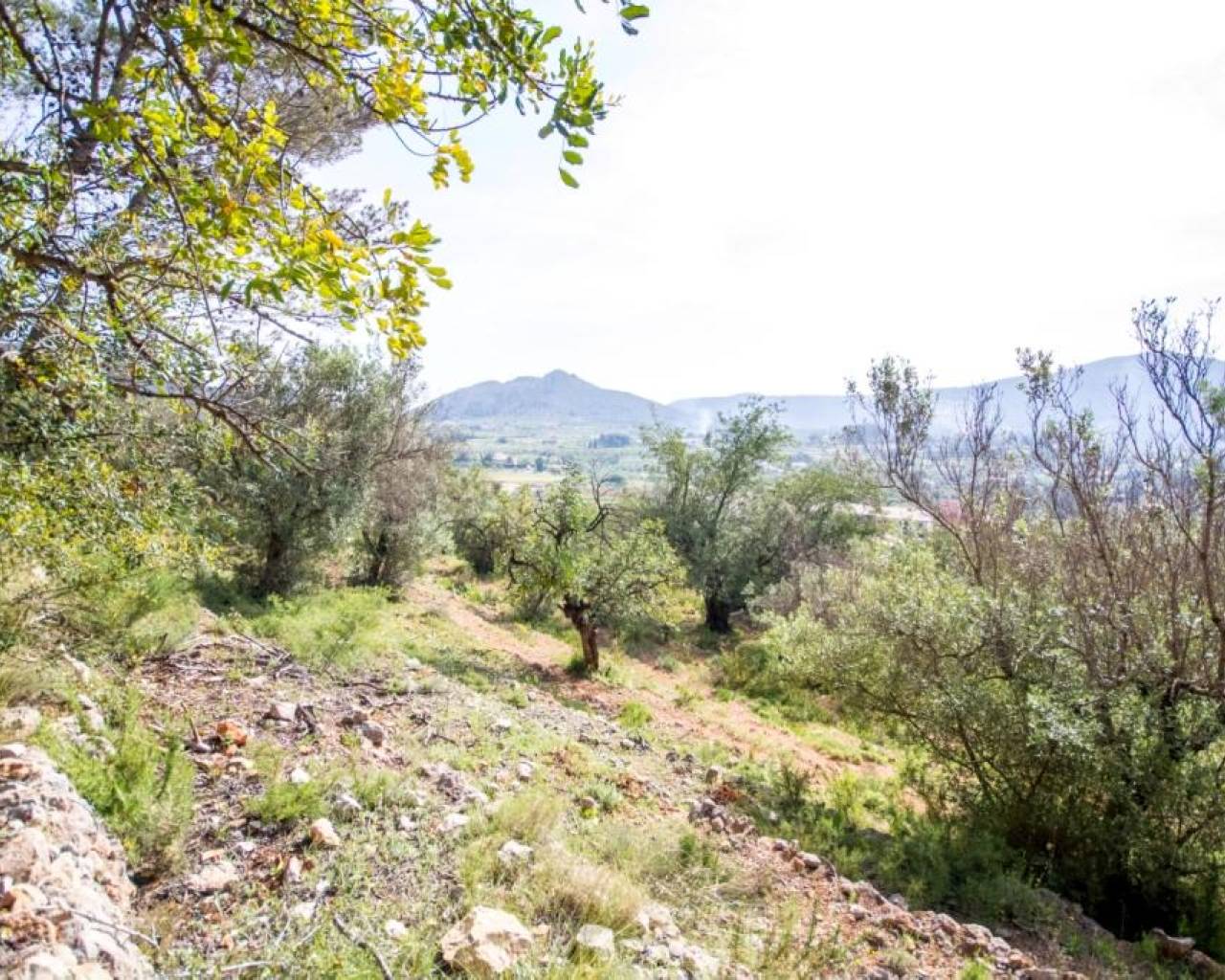 Sales - Plot - Jalon Valley - Murla