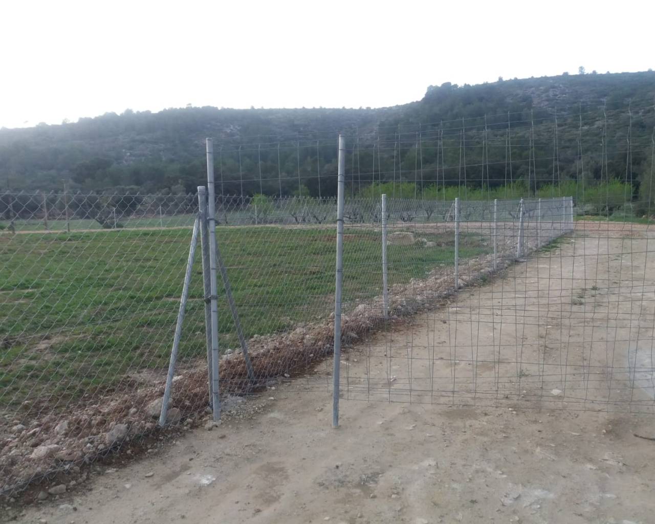 Sales - Plot - Jalon Valley - Alcalali