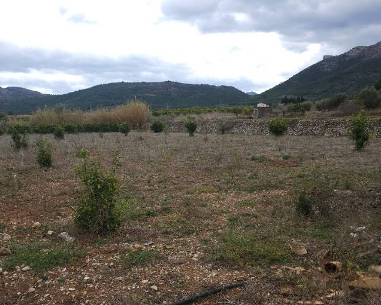 Sales - Plot - Jalon Valley - Alcalali