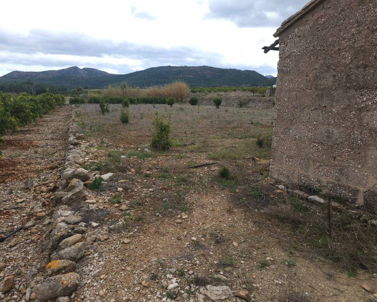 Sales - Plot - Jalon Valley - Alcalali