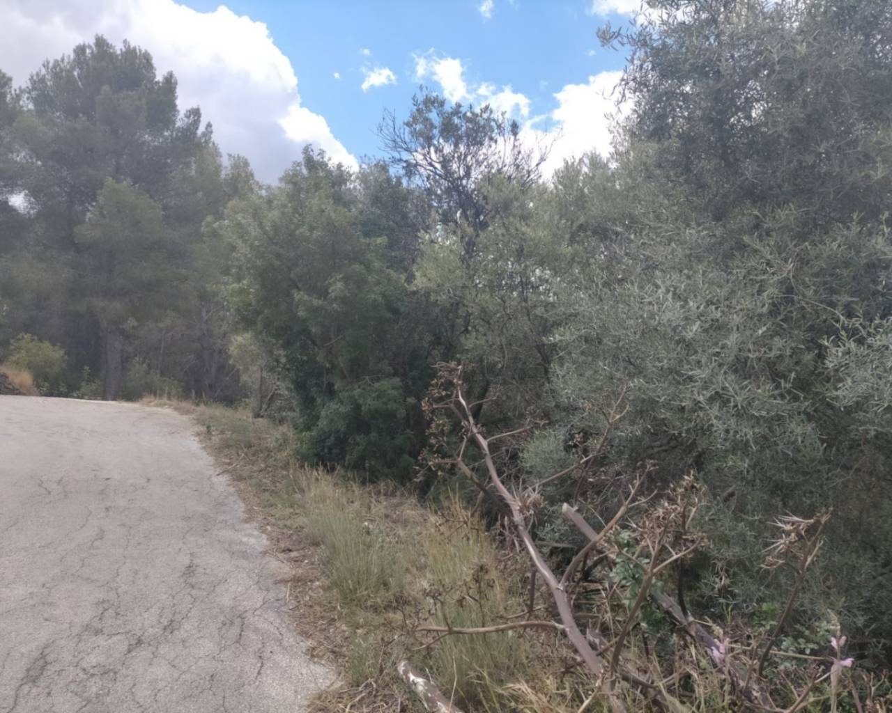 Sales - Plot - Orba Valley - El Aspre