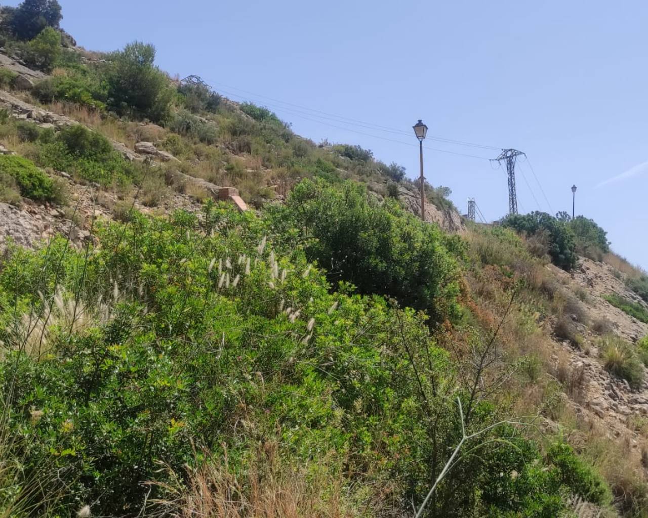 Sales - Plot - Jalon Valley - Jalon