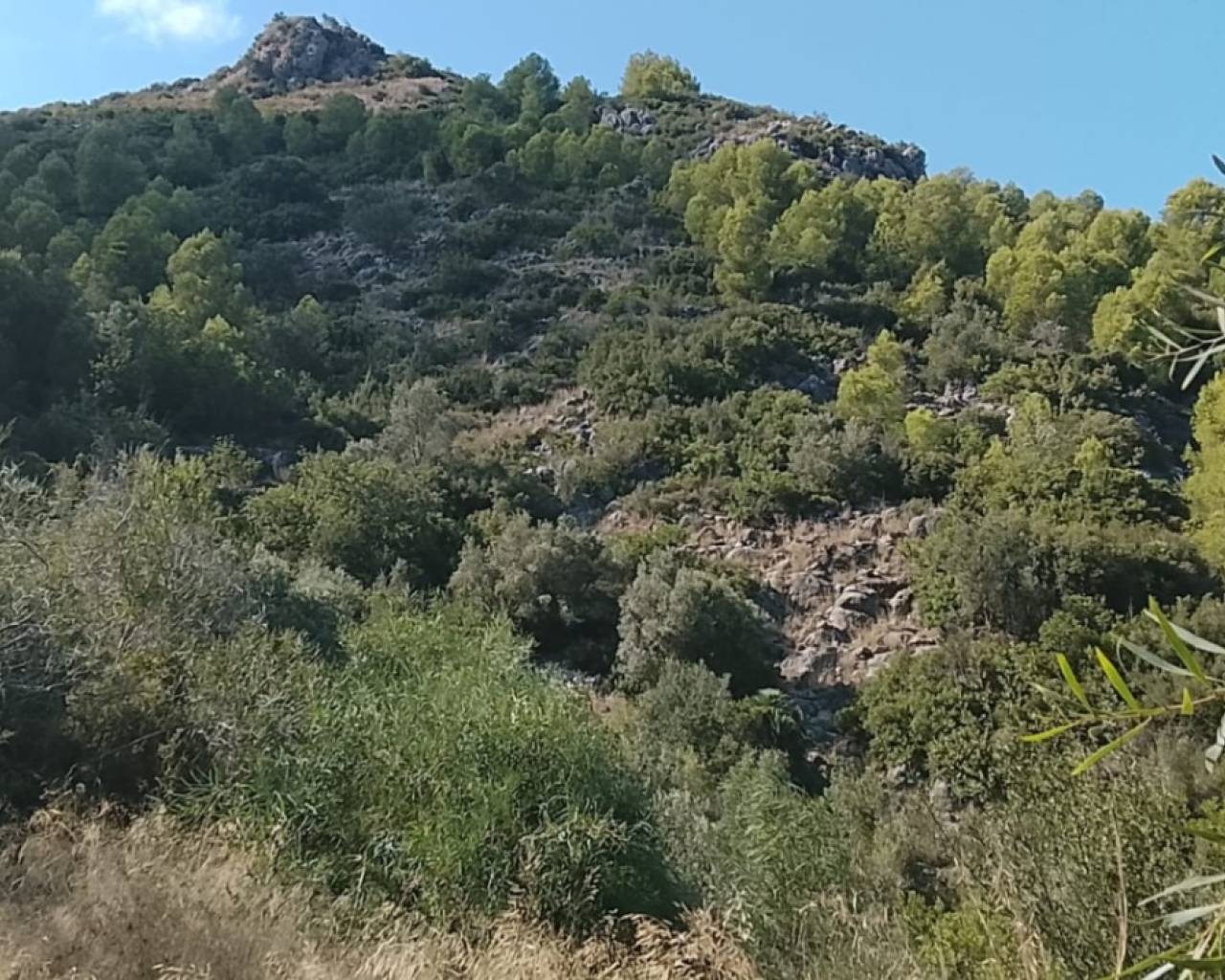 Sales - Plot - Orba Valley - Rafol d'Almunia