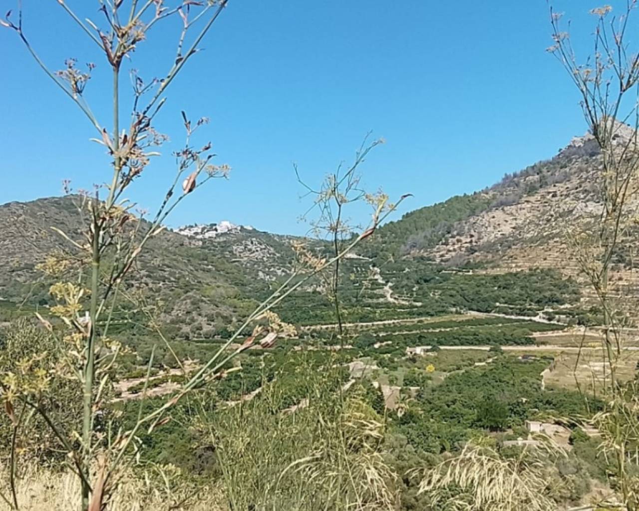 Sales - Plot - Orba Valley - Rafol d'Almunia