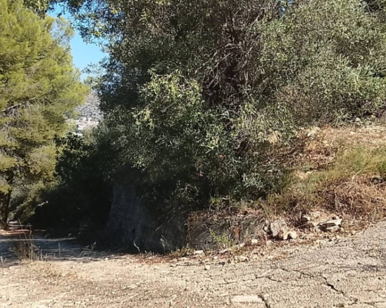 Sales - Plot - Orba Valley - Rafol d'Almunia