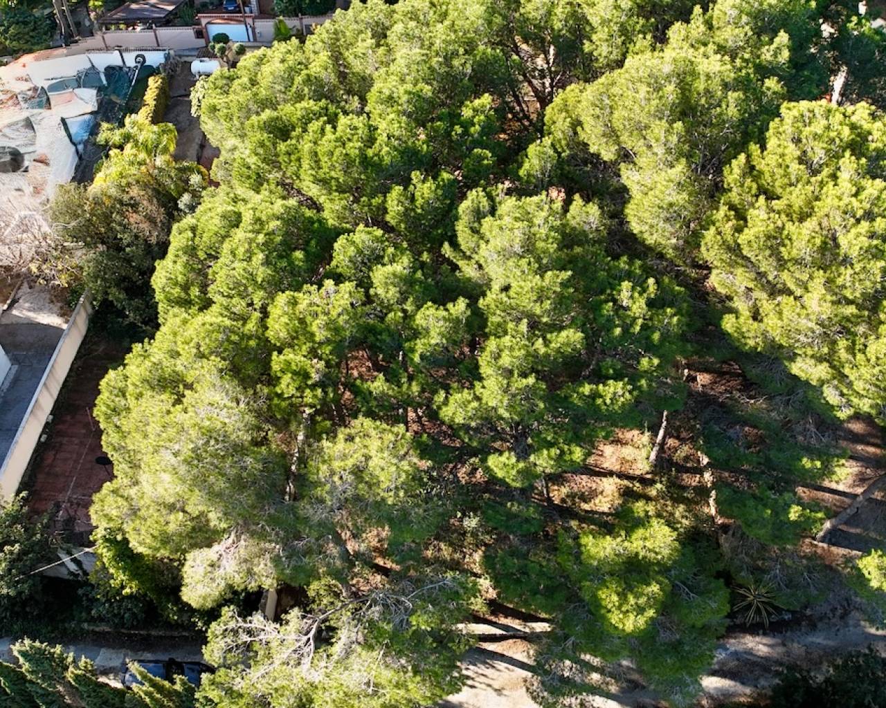 Sales - Plot - Moraira - La Cometa