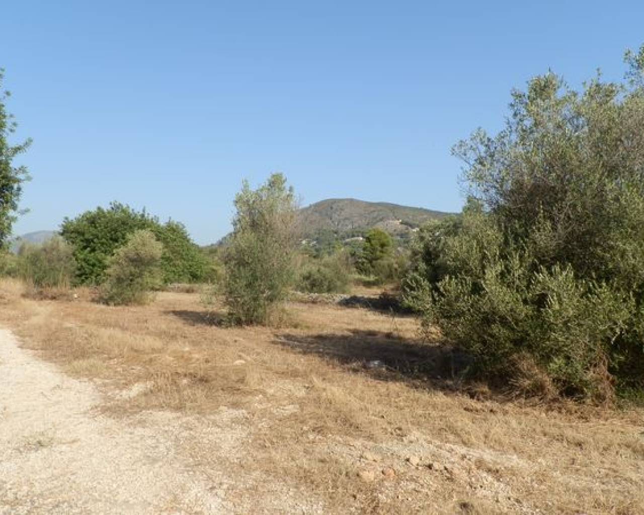 Sales - Plot - Jalon Valley - Jalon