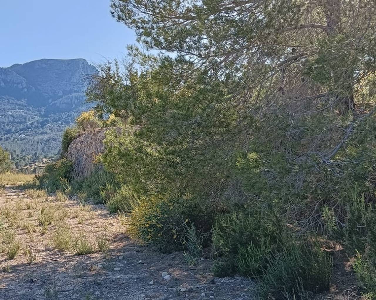 Vente - Terrain - Benissa