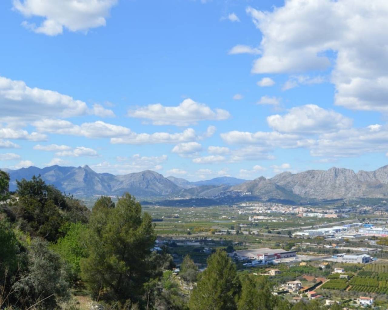 Vente - Terrain - Pedreguer