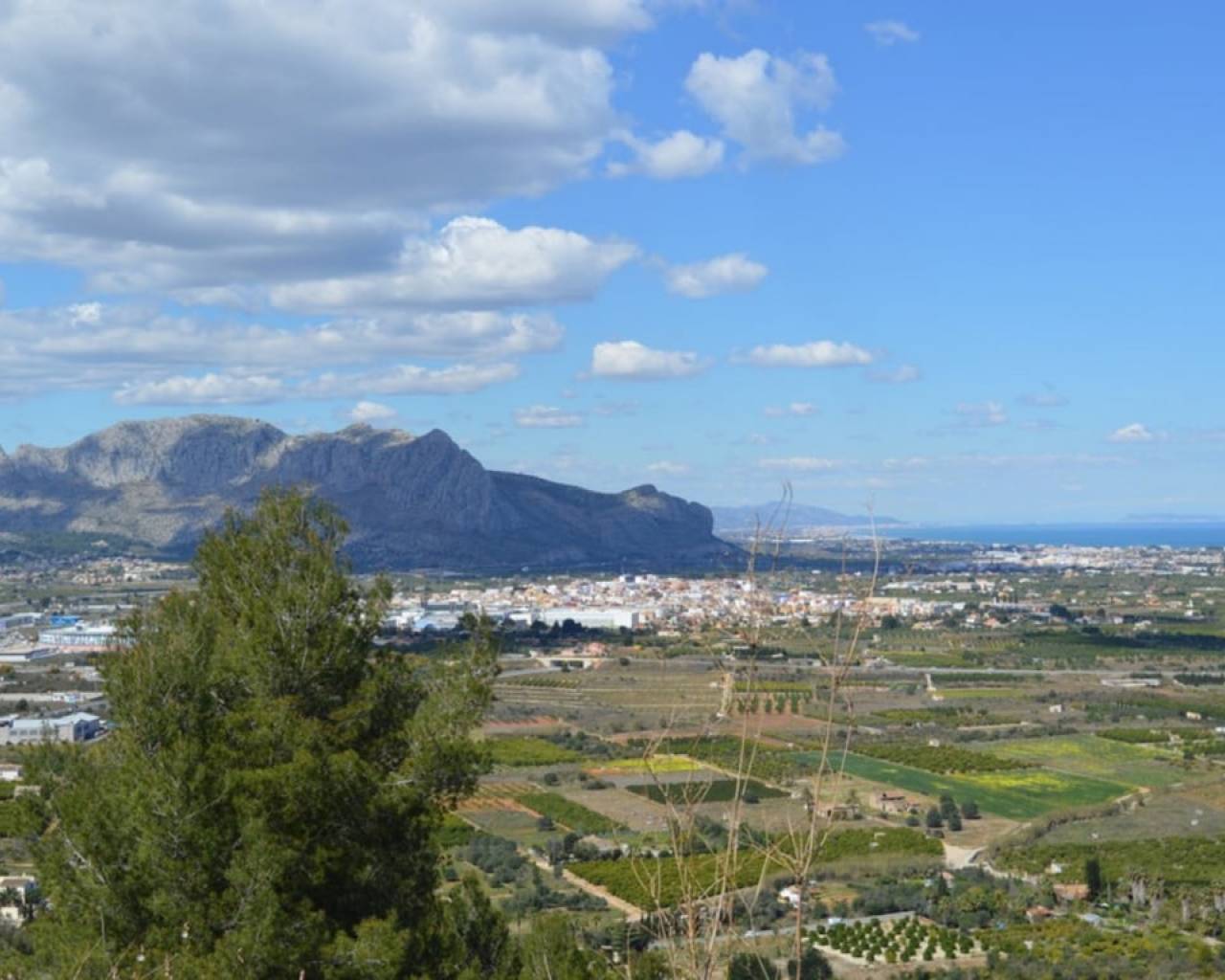 Vente - Terrain - Pedreguer